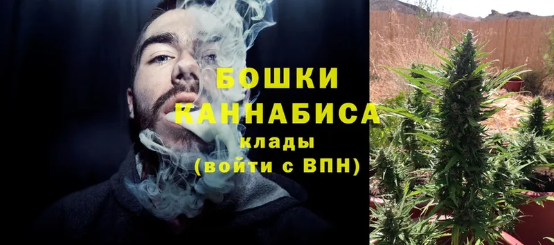 хочу наркоту  Камешково  Каннабис OG Kush 